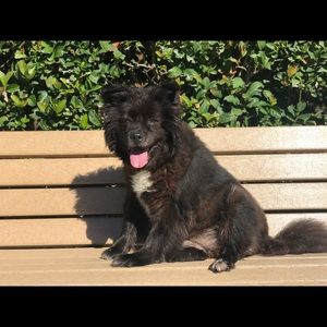 Meet your Posher, Ayanna